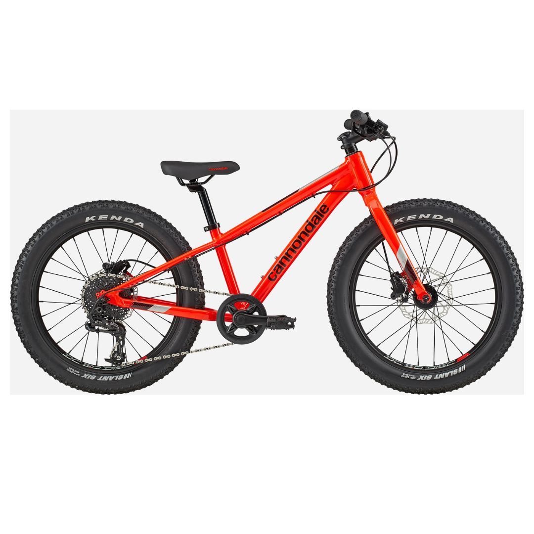 Cannondale Kids Cujo Race 20 ARD