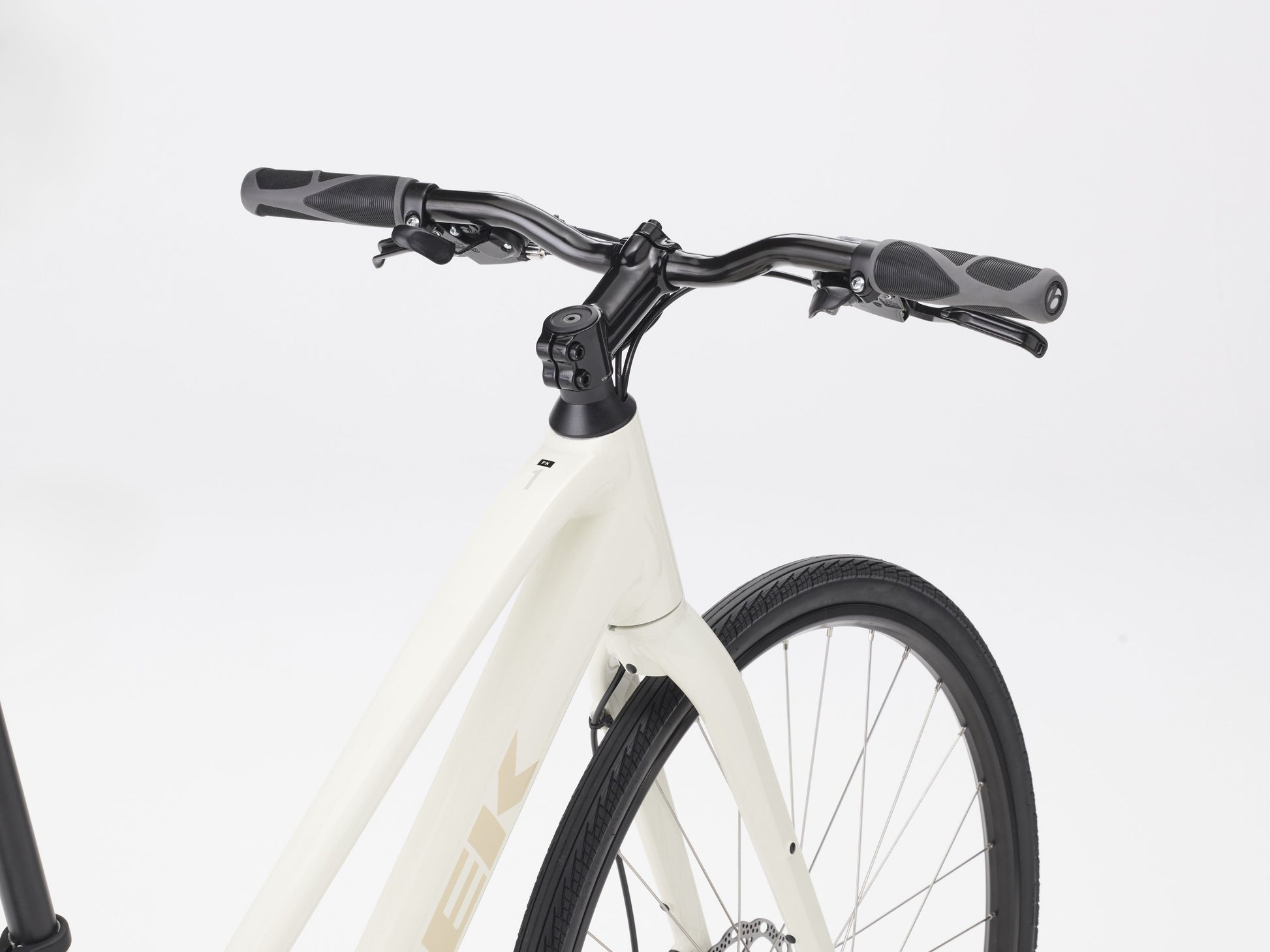 Trek FX 1